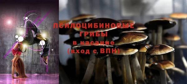 молекула духа Вязьма