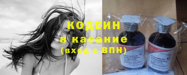 молекула духа Вязьма