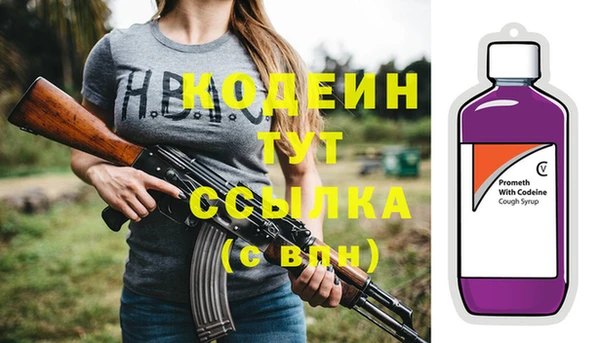 мдпв Вяземский